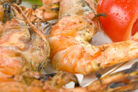 Shrimpsの写真素材