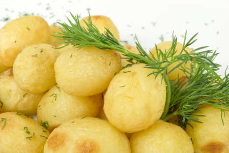 potato with fresh fennelの写真素材
