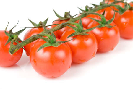 fresh tomatoes on whiteの写真素材