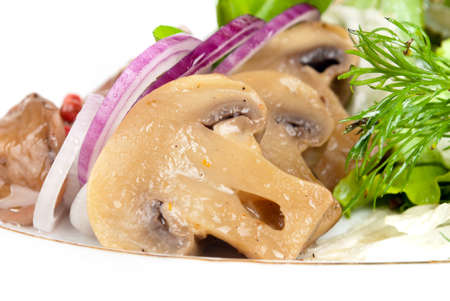 mushroomsの写真素材