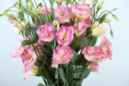 Flowers backgroundの写真素材