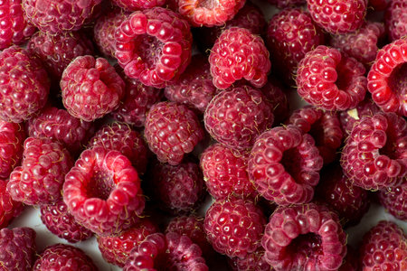 Raspberry fruit background