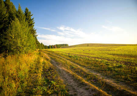 Road in fieldの写真素材