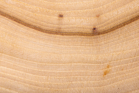 Wooden texture, wood background