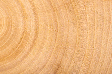 Wooden texture, wood backgroundの写真素材
