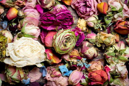 Dried roses. Valentines background.の写真素材