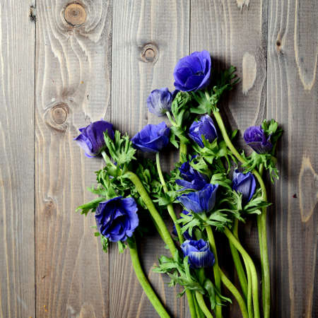 anemone flower on wood backgroundの写真素材