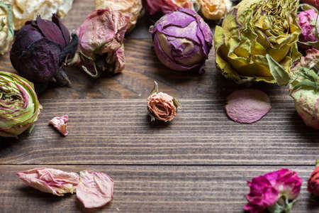 Dried roses. Valentines background.の写真素材