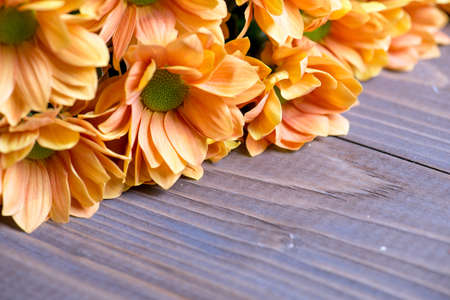orange chrysanthemums on a wooden backgroundの写真素材