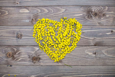 flowers heart on wood panel. Valentines background.の写真素材