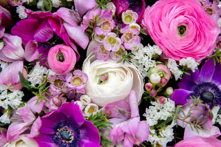 Flowers backgroundの写真素材