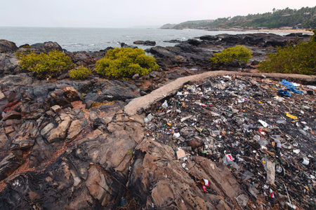 Garbage on the beach Vagator