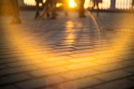 Close up of fresh thick grass with water drops in the early morningの写真素材