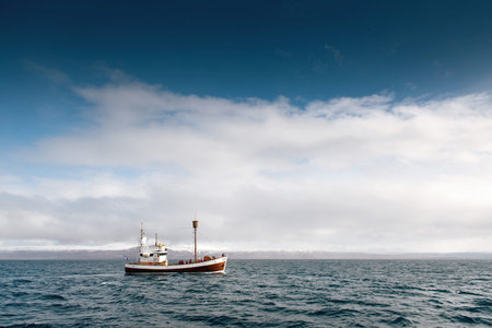 Boat in oceanの写真素材