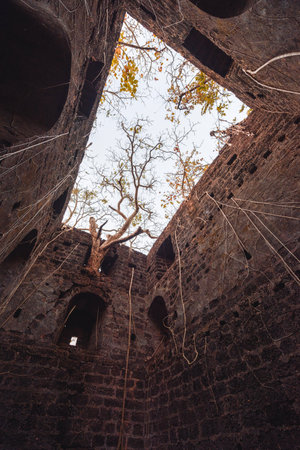 Fort overgrown with branches. Redi fort (Yashwantgad Fort). India, Maharashtra