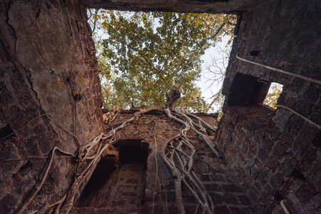 Fort overgrown with branches. Redi fort (Yashwantgad Fort). India, Maharashtraの写真素材