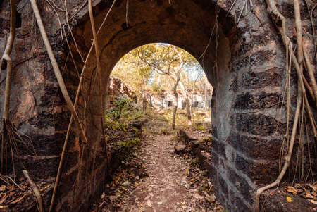 Fort overgrown with branches. Redi fort (Yashwantgad Fort). India, Maharashtraの写真素材