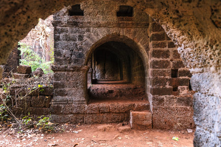Fort overgrown with branches. Redi fort (Yashwantgad Fort). India, Maharashtra