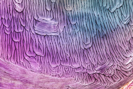 Hand drawn gouache painting. Abstract art background. Color texture.の写真素材