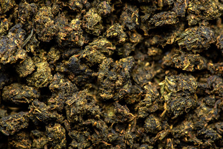 Drying and fermentation of tea willow.