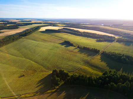 Drone view on summer fields.