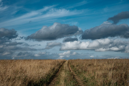 Road to horizon in field with blue sky and clouds on background.
