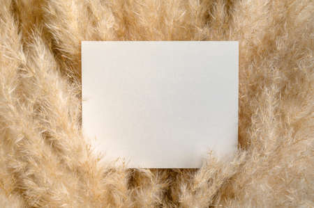 Paper Card Mockup on a nature background. Advertising card.の写真素材