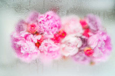 Abstract flower bouquet background under water dropsの写真素材
