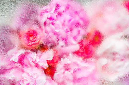 Abstract flower bouquet background under water dropsの写真素材