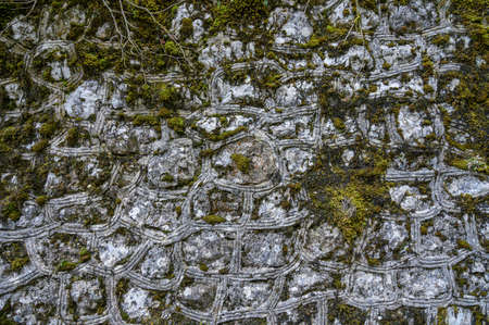 Old stone wall background with green moss.の写真素材