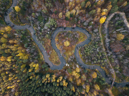 Top view on autumn forest with small river