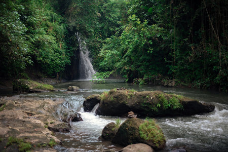 Jungle river and waterfall on background. Bali, Ubud.の写真素材