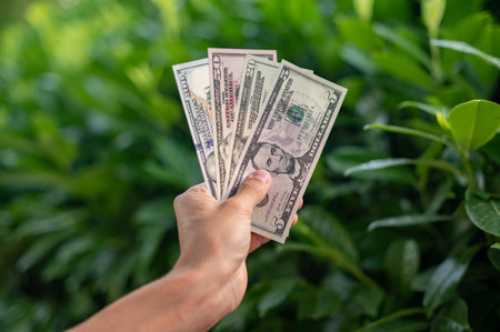 First person top view photo of hands holding fan of dollars banknotes on plant backgroundの写真素材