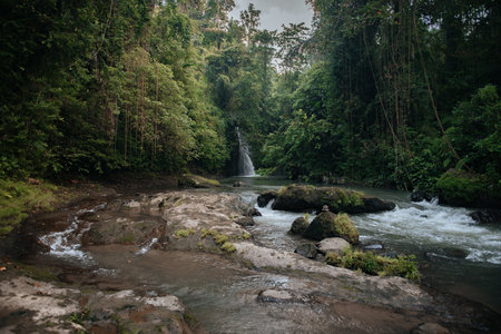 Jungle river and waterfall on background. Bali, Ubud.の写真素材