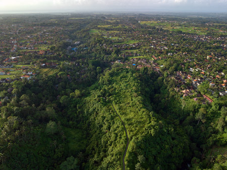 Aerial view of artist trail in Ubud, Bali.の写真素材