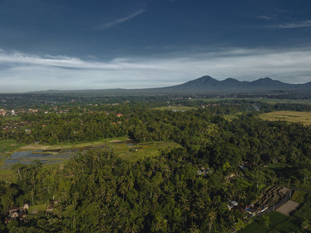 Rice Terrace and volcano in background, Ubud, Bali, Indonesia. Top viewの写真素材