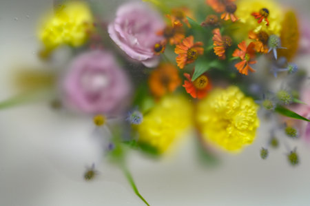 Abstract flower bouquet background under water dropsの写真素材