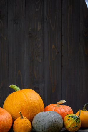 Pumpkins on dark wooden background. Autumn halloween harvesting thanksgiving concept with space for text. Pumpkin compositionの写真素材