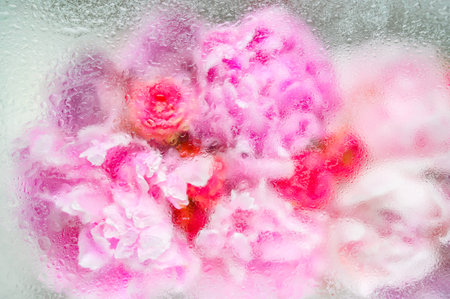 Abstract flower bouquet background under water dropsの写真素材