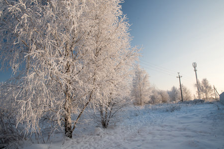 Winter landscape with snowy trees and blue skyの写真素材