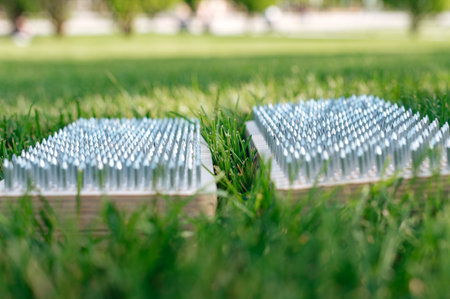 Closeup view of sadhu wooden board for yoga practice in grass. Nailing practiceの写真素材