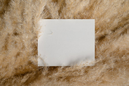 Paper Card Mockup on a nature background for design of invitation, advertising card.の写真素材