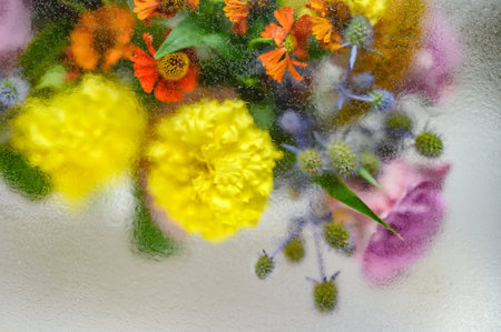 Abstract flower bouquet background under water dropsの写真素材