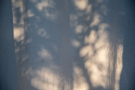 Plant shadows background on the curtains in the windowの写真素材
