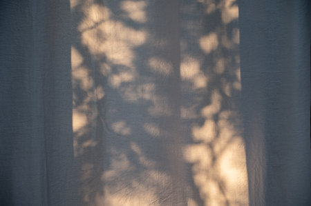 Plant shadows background on the curtains in the windowの写真素材