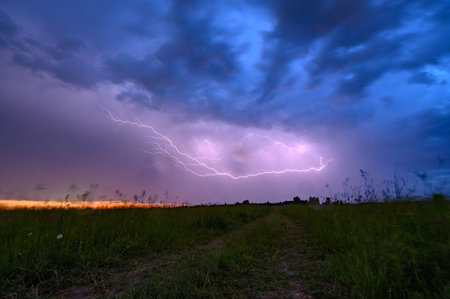 Thunderstorm atmosphere with lightning over wheat fields with cloudy skyの写真素材