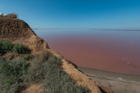 Salt lake with pink salt and the blue sky with clouds. Sasyk-Sivash pink salt lake in Crimea. Summer...