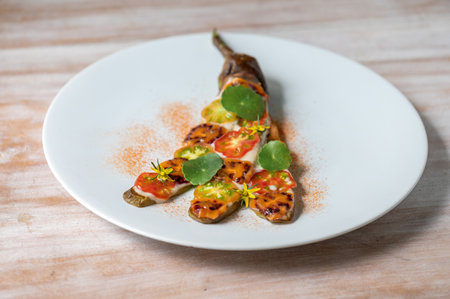 Eggplant with tomatoes. Plant based vegan cuisine. Close up photoの写真素材