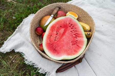 Girl relaxing and eat watermelon outdoor near lake. Picnic in natureの写真素材