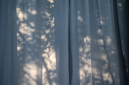 Plant shadows background on the curtains in the windowの写真素材